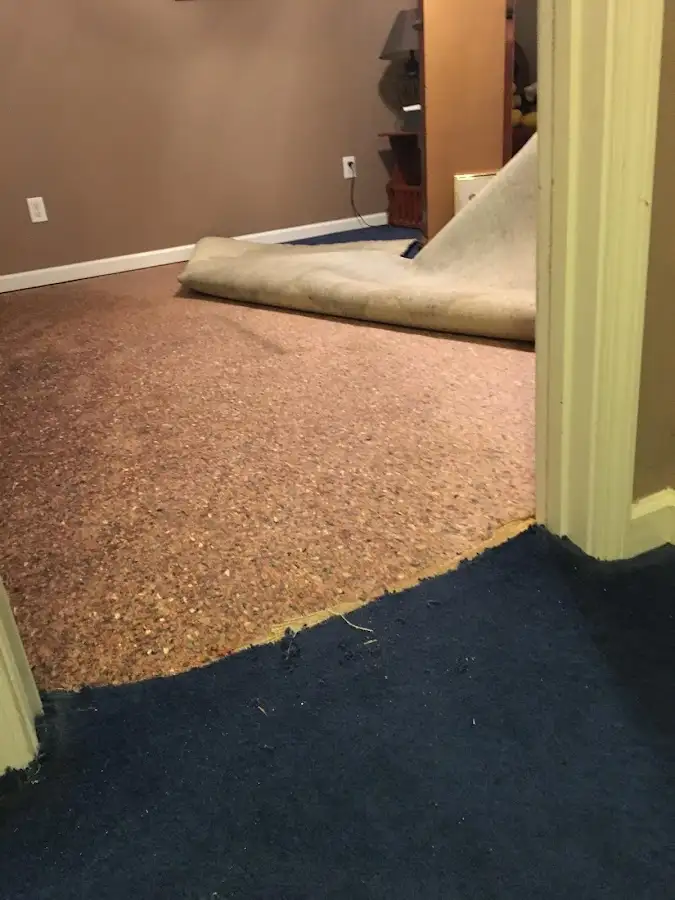 Carpet pad removal revealing water damage during Drying & Dehumidification in Triana