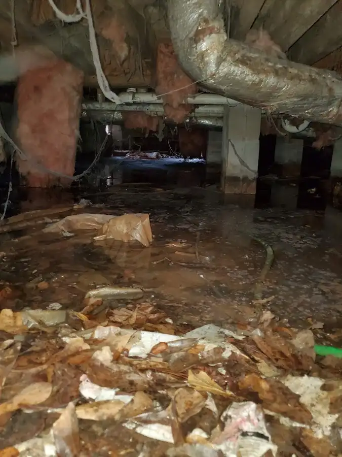 Crawl space flood assessment for Leak Detection & Repair in Triana
